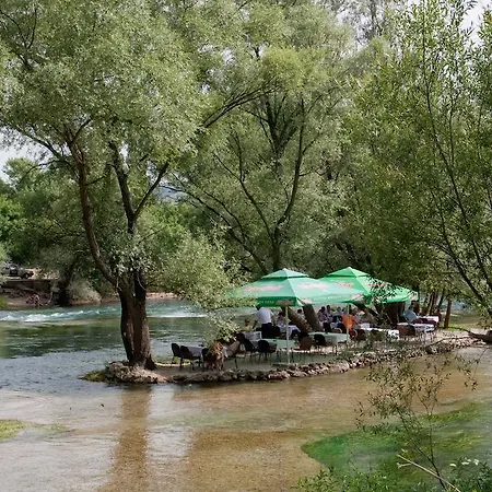 Motel Kolo 3*