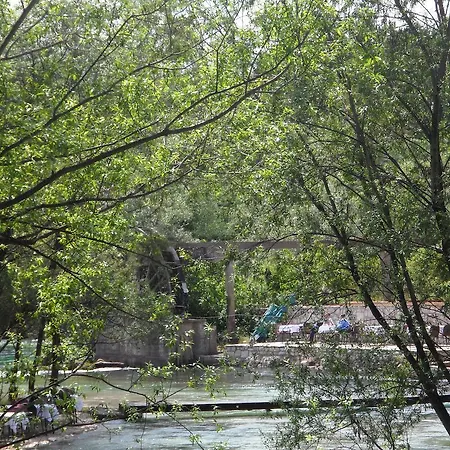 Kolo Buna